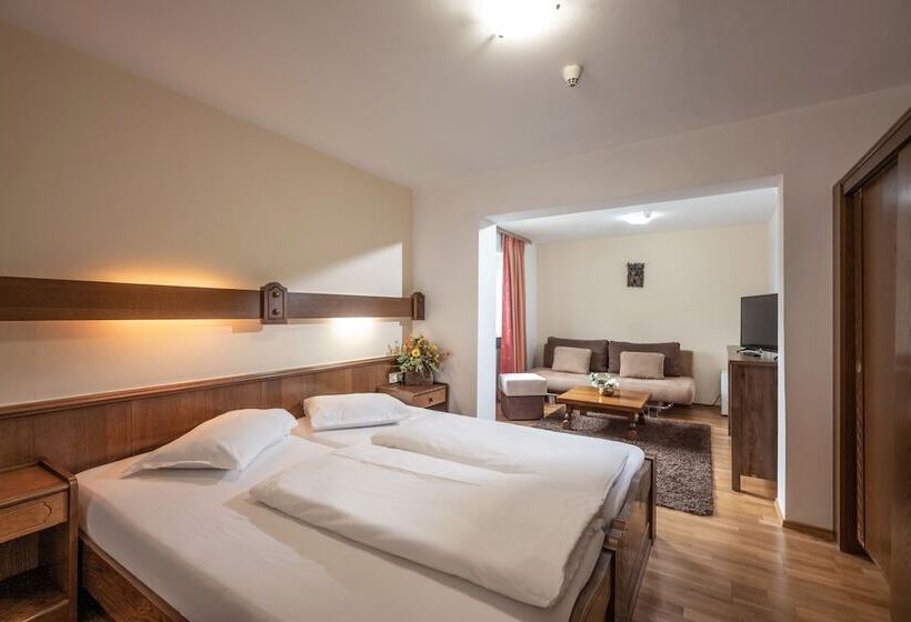 Номер Стандарт, Alpenhotel Edelweiss