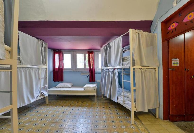 מיטה בחדר משותף, Roger S Hostel Tel Aviv