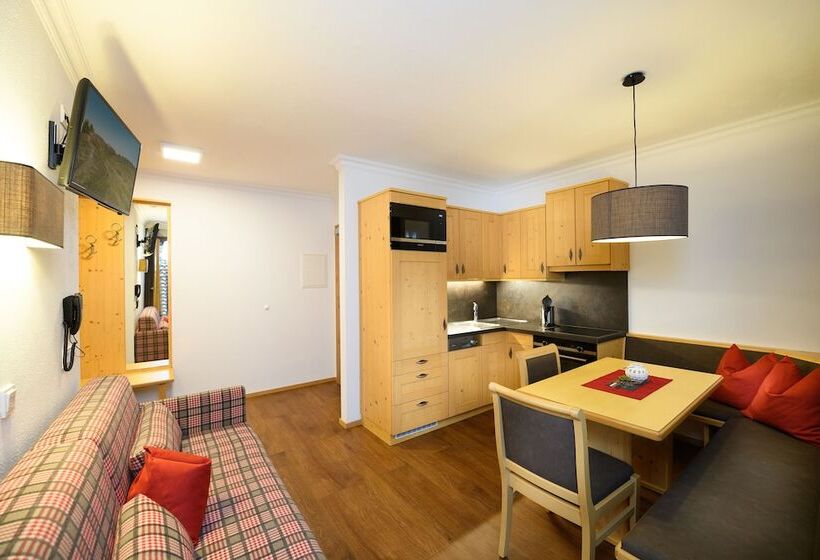 آپارتمان 1 خوابه, Appartement Pension Kendlbacher