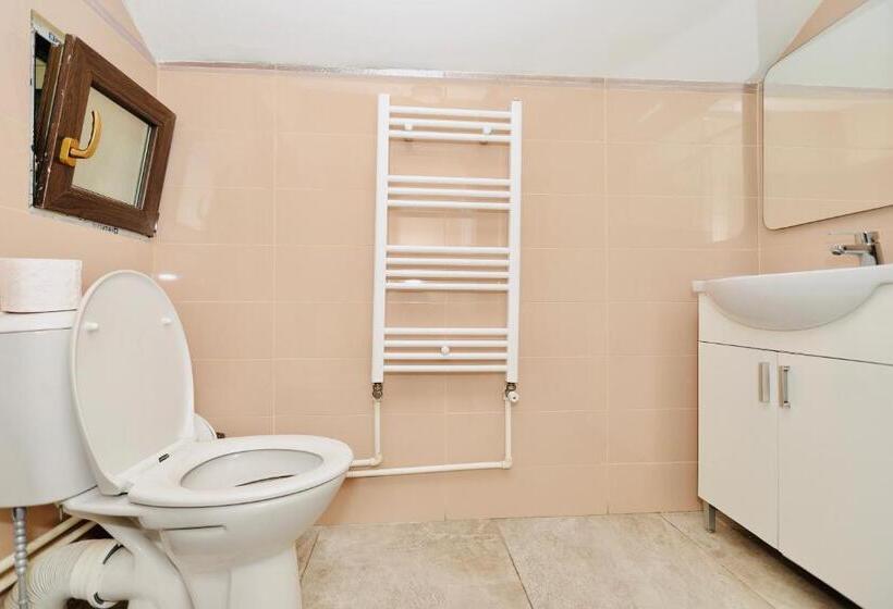 اتاق استاندارد با تخت بزرگ, Casa Golopența