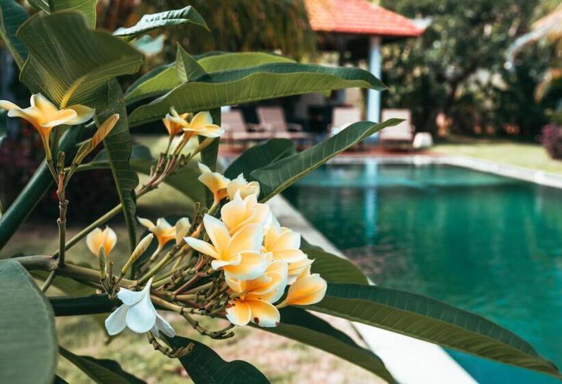 Бунгало Deluxe, Bali Mynah Villas Resort