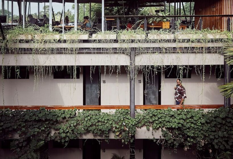 스탠다드 룸, Outpost Ubud Penestanan