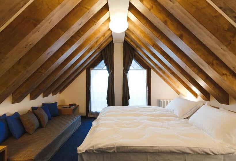 침실 1개 수피리어 아파트, Residence Langes