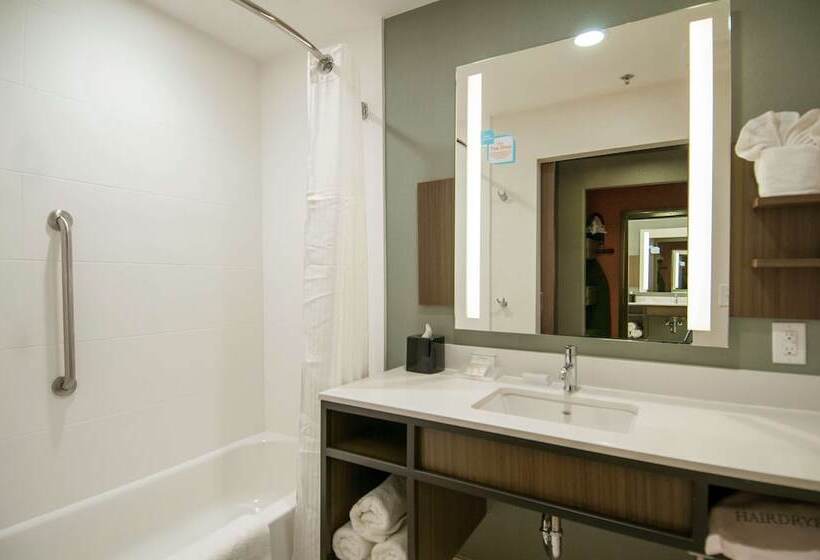Номер Стандарт 2 Двуспальные Кровати, Hilton Garden Inn Jackson/clinton