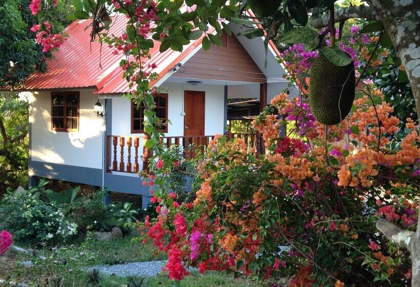 بانگلوی سوپریور, Areeya Resort