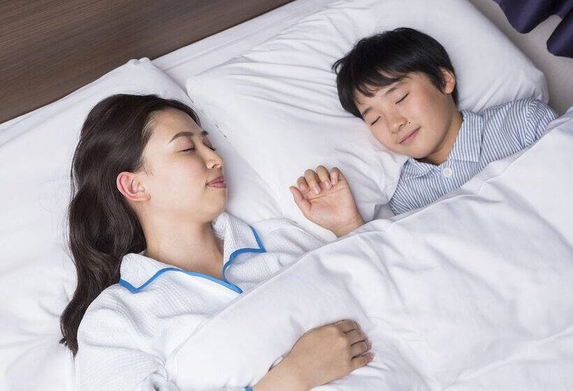 Номер Стандарт, Comfort Hotel Ise