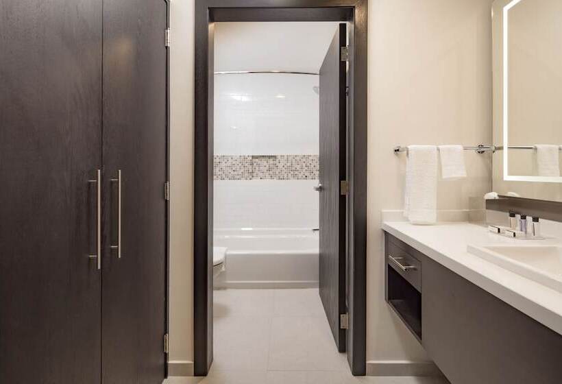 スイート, Staybridge Suites   Saltillo, An Ihg