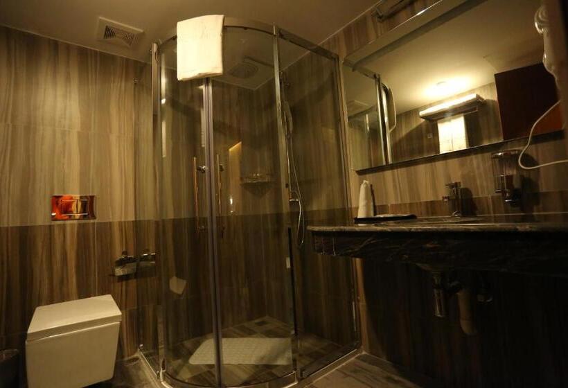 اتاق لوکس, Zabeer Hotel International