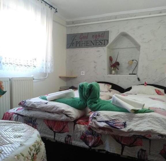 اتاق اکونومی, Margaréta Panzió