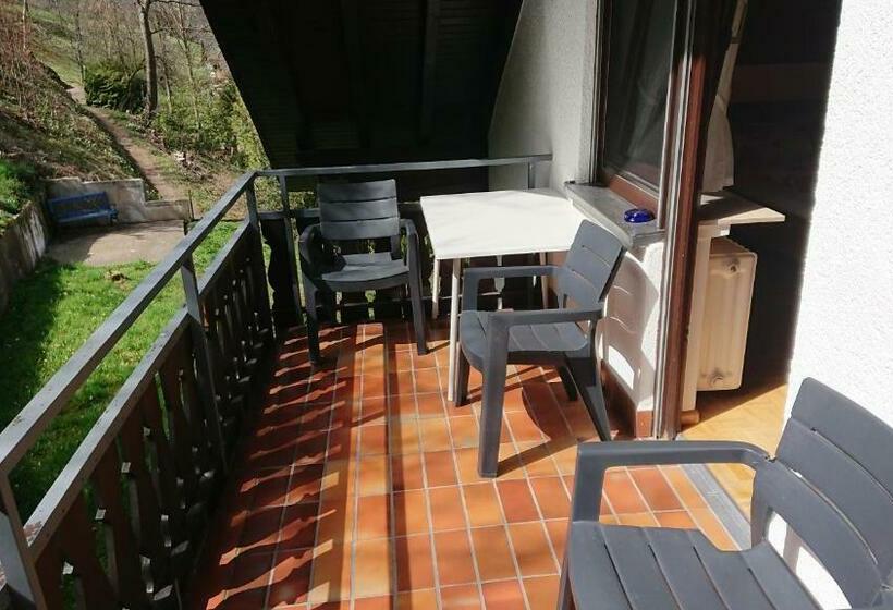 스탠다드 발코니 룸, Pension Schlossbergblick