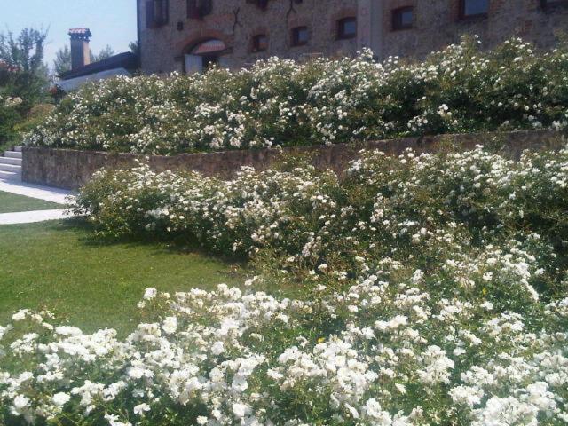 스탠다드 룸, Azienda Agrituristica Calronche