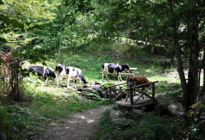 침실 1개 아파트, Il Borgo Dei Celti