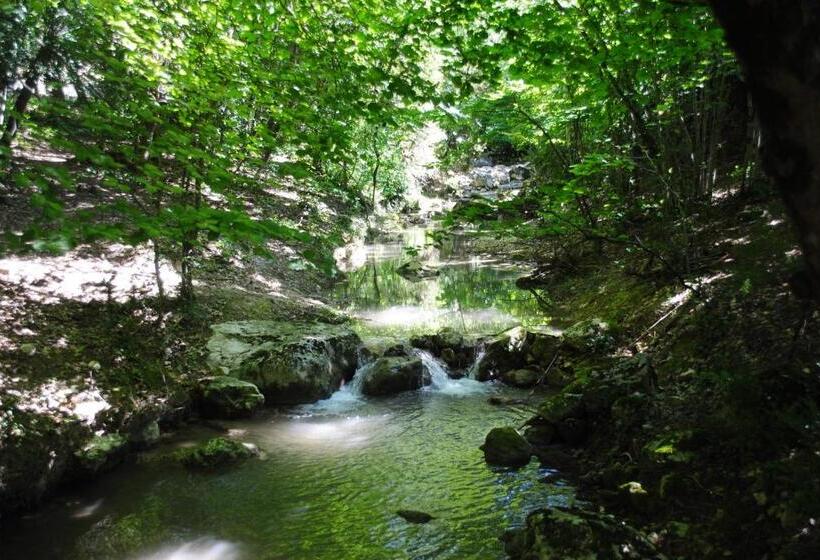 公園の見えるスタンダードルーム, Domaine D Angouire
