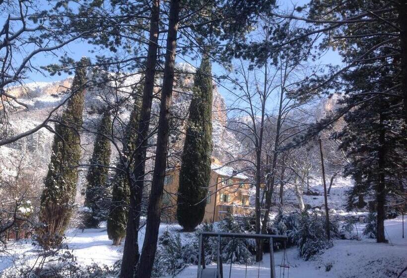 ジュニアスイート, Domaine D Angouire