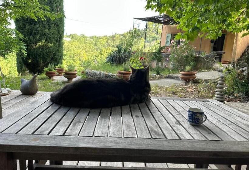 公園の見えるスタンダードルーム, Domaine D Angouire