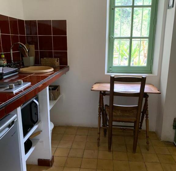 ジュニアスイート, Domaine D Angouire