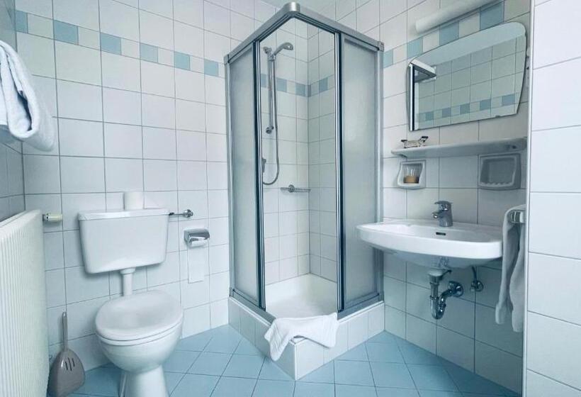 Апартаменты 1 Спальня, Wachtler Dolomite Apartments