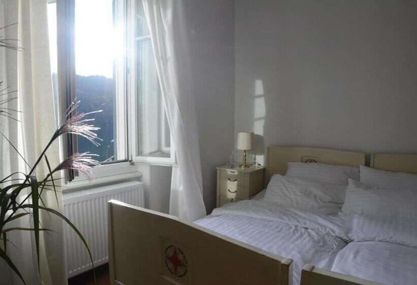 Номер Стандарт Вид на Озеро, Villa Streintz