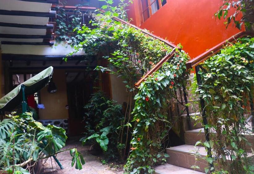 스탠다드 룸, Wayras Hostal