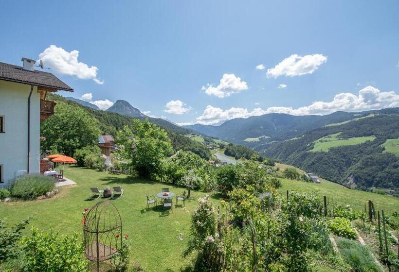 Апартаменты 1 Спальня, Ferienbauernhof Wieserhof