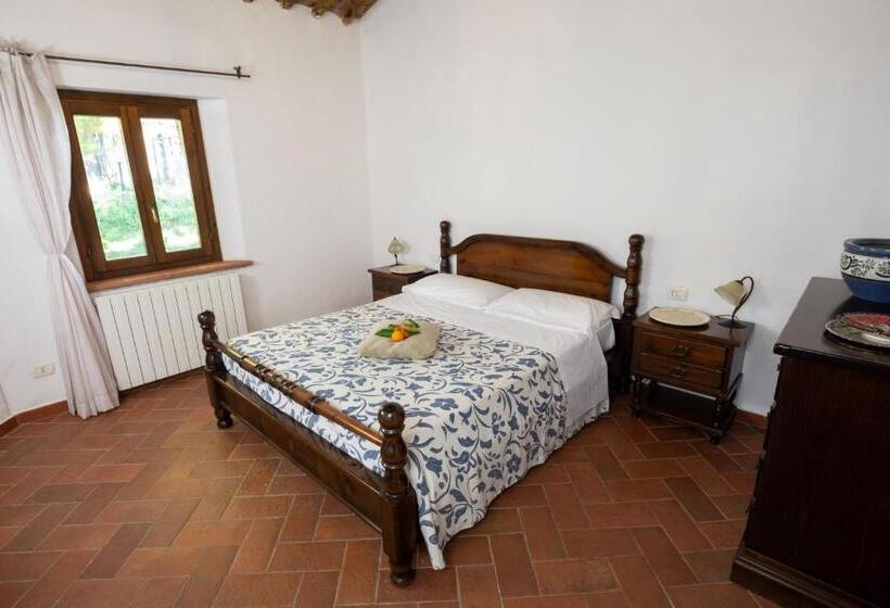 Апартаменты 1 Спальня, Agriturismo Colle Vento