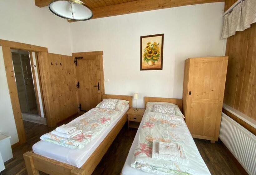 Номер Стандарт Вид на Горы, Apartmany Moravienka