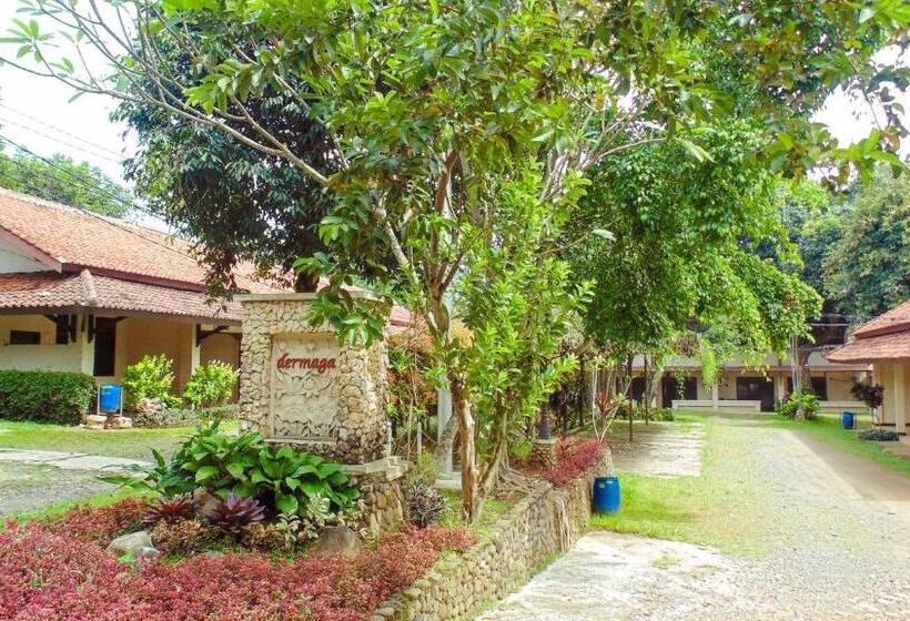 디럭스 룸, Pendopo 45 Resort