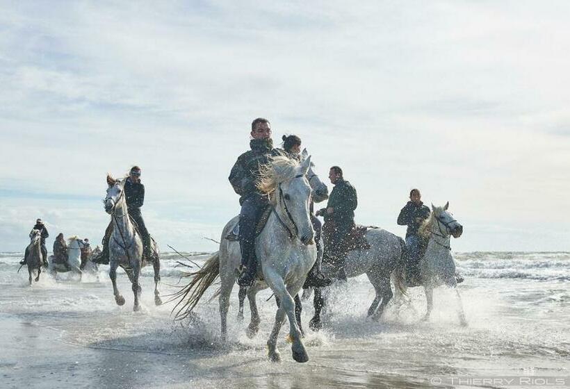 带大床的标准间, Le Neptune En Camargue