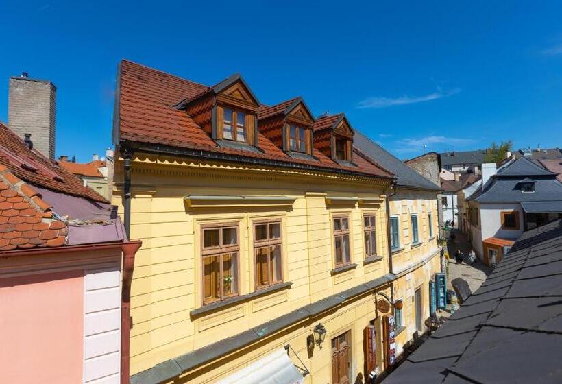 Номер Стандарт, Penzion U Hrádku