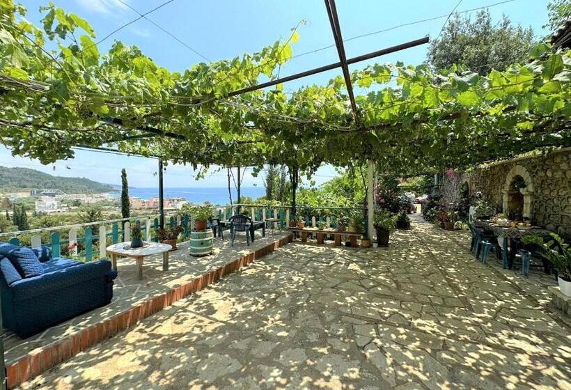 Семейный Номер Вид на Море, Boungainvillea