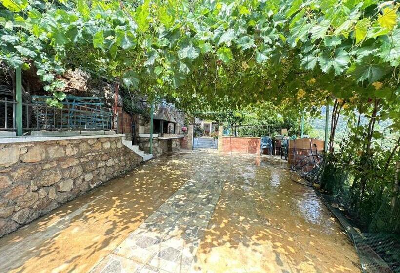 Triple Room Sea View, Boungainvillea