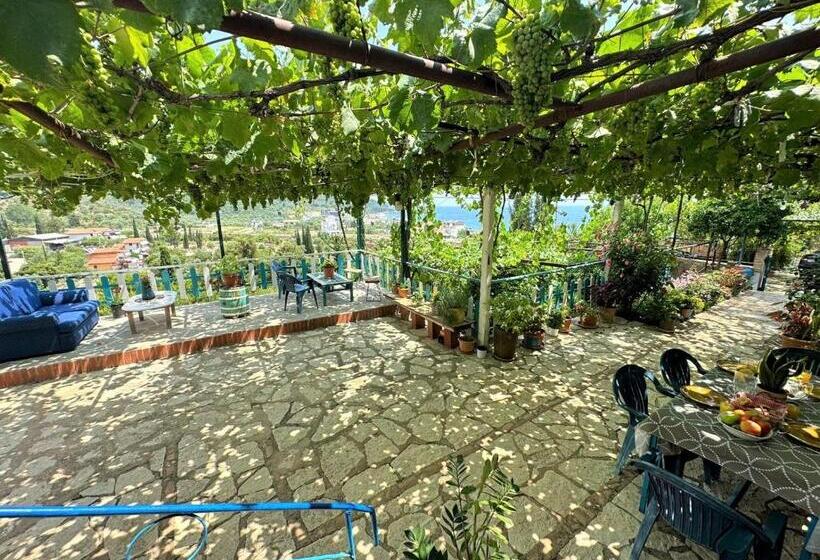 Family Suite, Boungainvillea