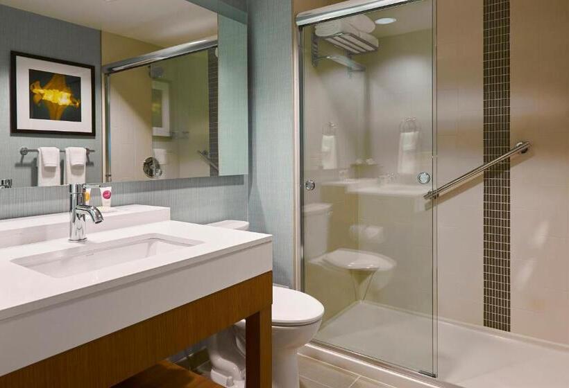 Suite Adaptada per a persones amb mobilitat reduïda, Hyatt Place Toronto/mississauga Centre