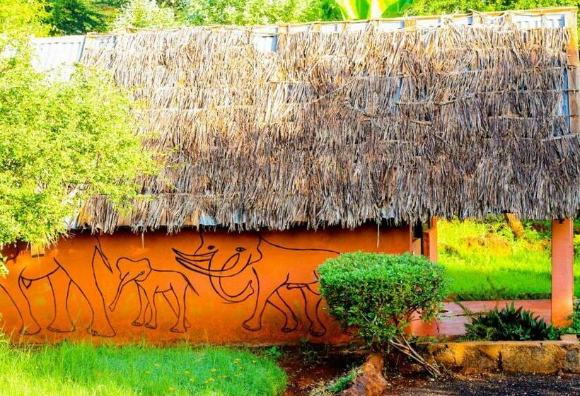 اتاق استاندارد یک نفره, Teen Ranch Kenya