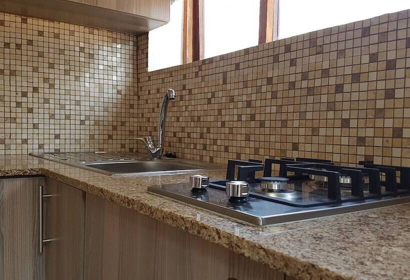 Апартаменты 1 Спальня Нижний Этаж, 50 Galena Affordable Luxury