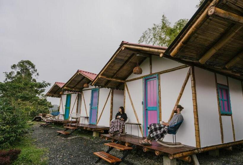 Standard Tent, Selina Quindio