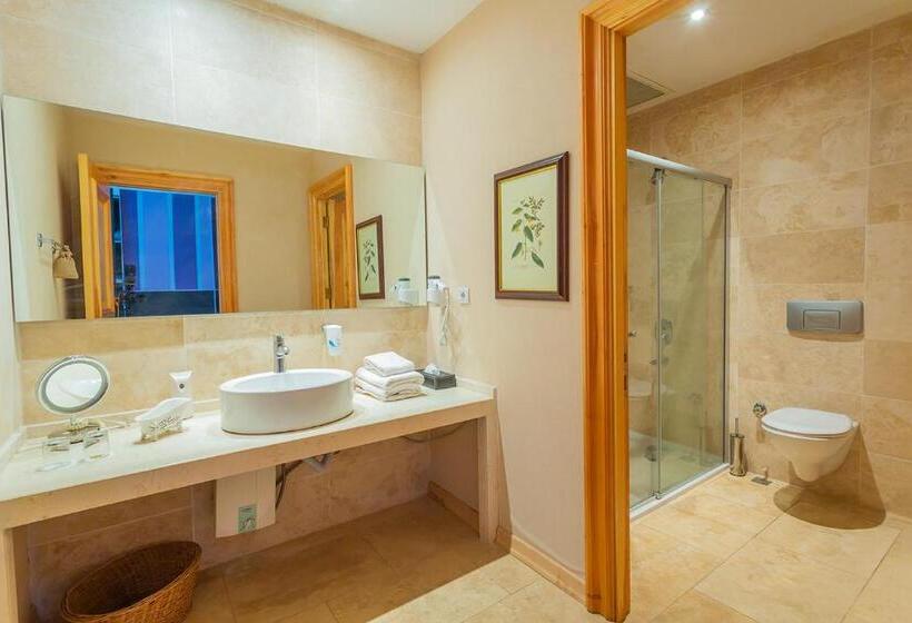 Номер Deluxe Одноместный, Villa Estet Bağ