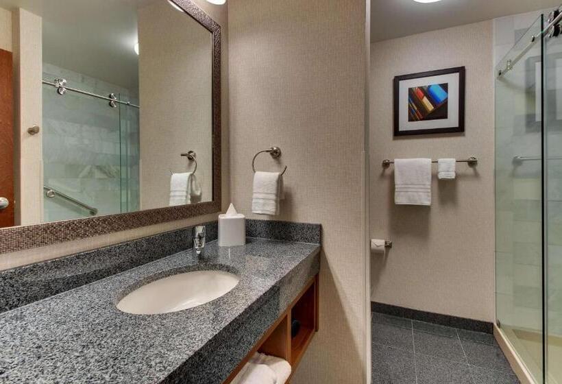 Люкс Deluxe Кровать Кинг, Drury Plaza Hotel Nashville Downtown