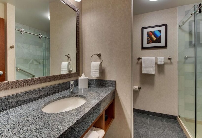 Номер Deluxe, Drury Plaza Hotel Nashville Downtown
