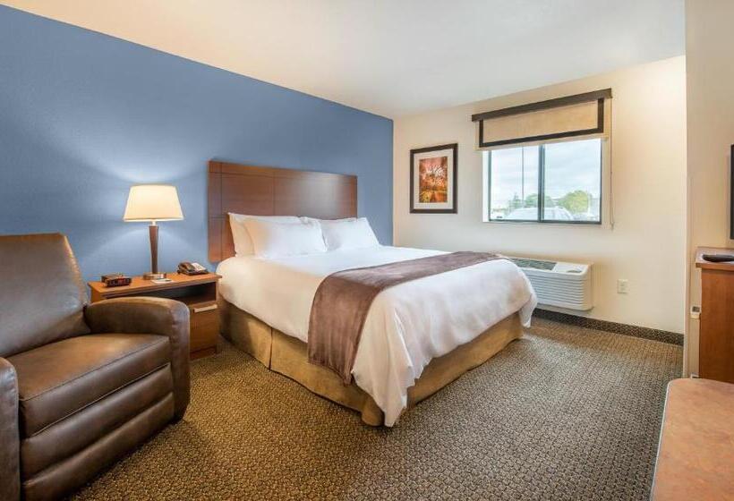 장애인을 위한 스탠다드 룸, My Place Hotel Wixom/novi/detroit, Mi