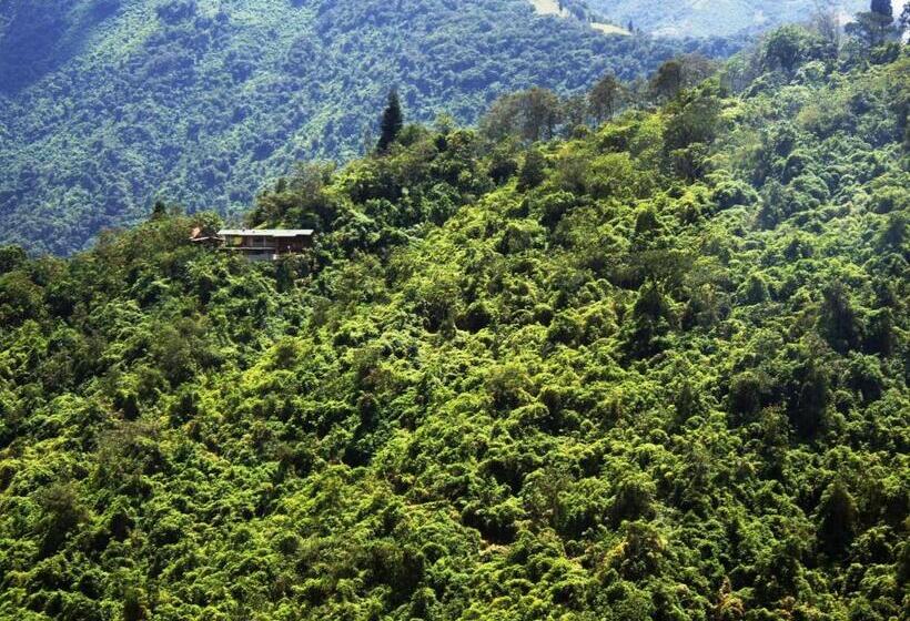 Люкс Вид на Горы, Finca Petrona