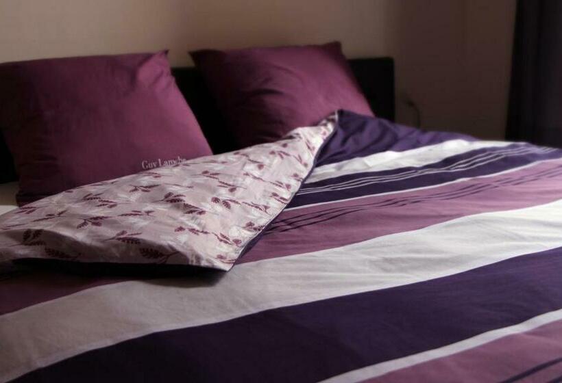 标准间, B&b Utrecht Domkwartier