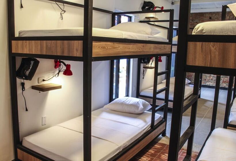 共用房间的床, Zamia Hostel
