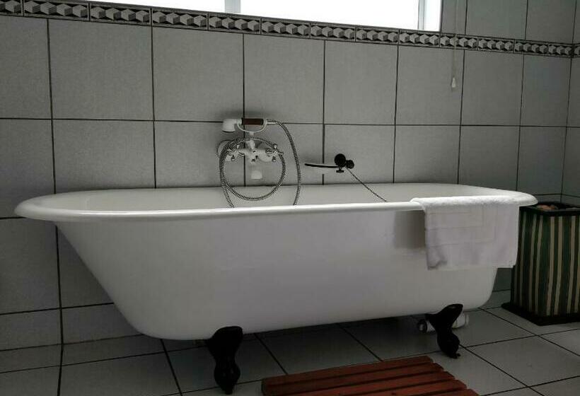 디럭스 룸, Mtuba Manor Guest House