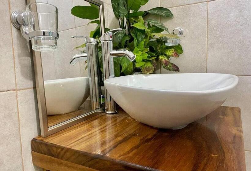 스탠다드 룸, Paziflora Hostel