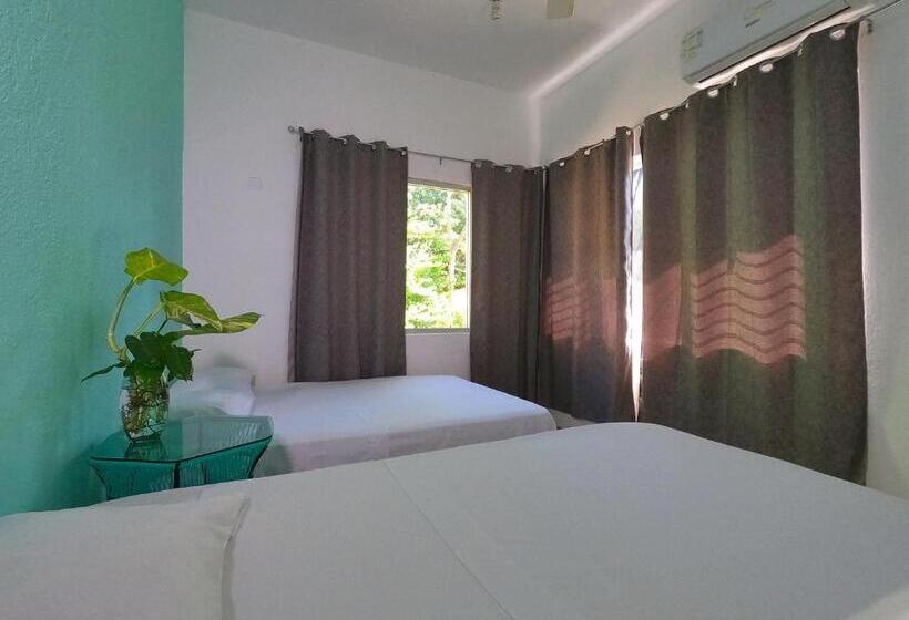 공동 객실, Paziflora Hostel