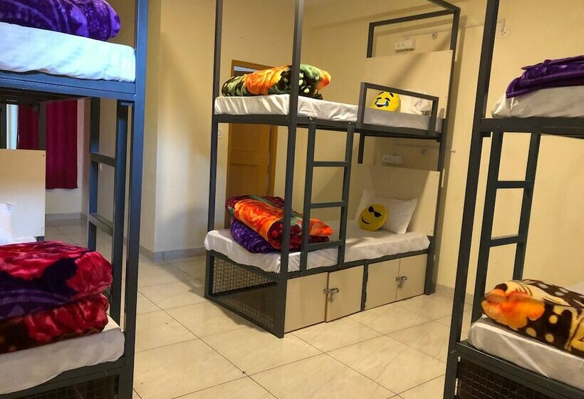سرير فى غرفة مشتركه, Moustache Kasol   Hostel