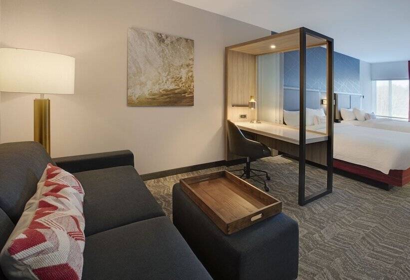سوییت, Springhill Suites By Marriott Hampton Portsmouth