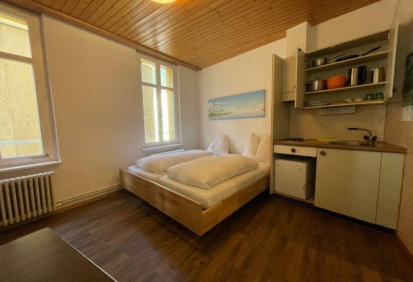 آپارتمان 1 خوابه, Downtown Apartment 9