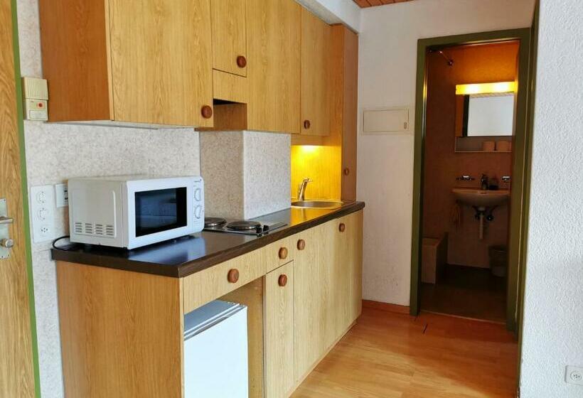 آپارتمان 1 خوابه با بالکن, Downtown Apartment 9